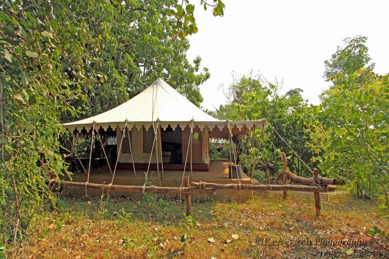 Monsoon Forest Tala  Luaran gambar